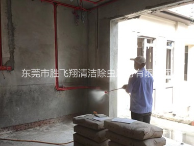 寮步装修预防白蚁工程